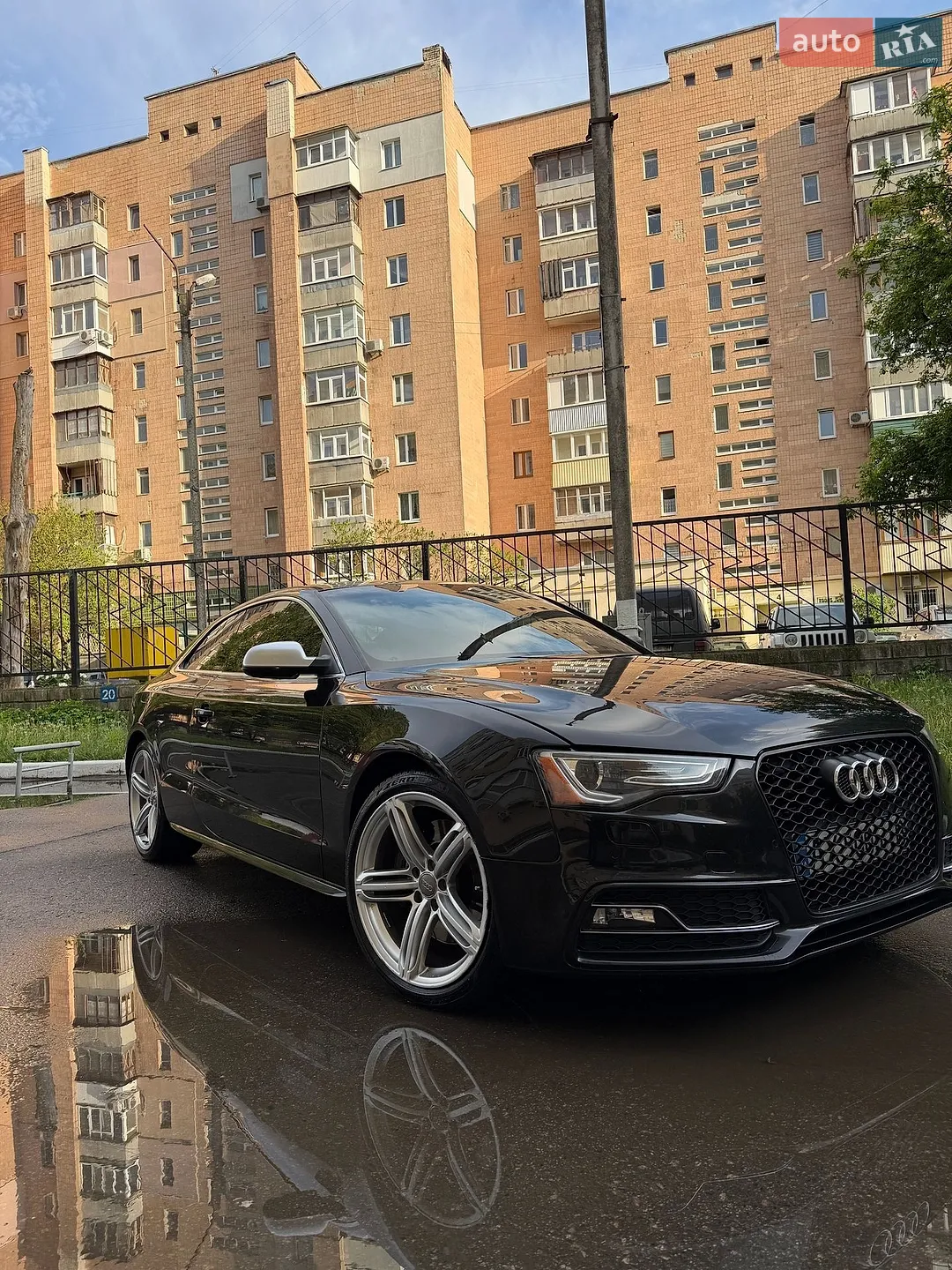 2013 Audi S5 - фото 1