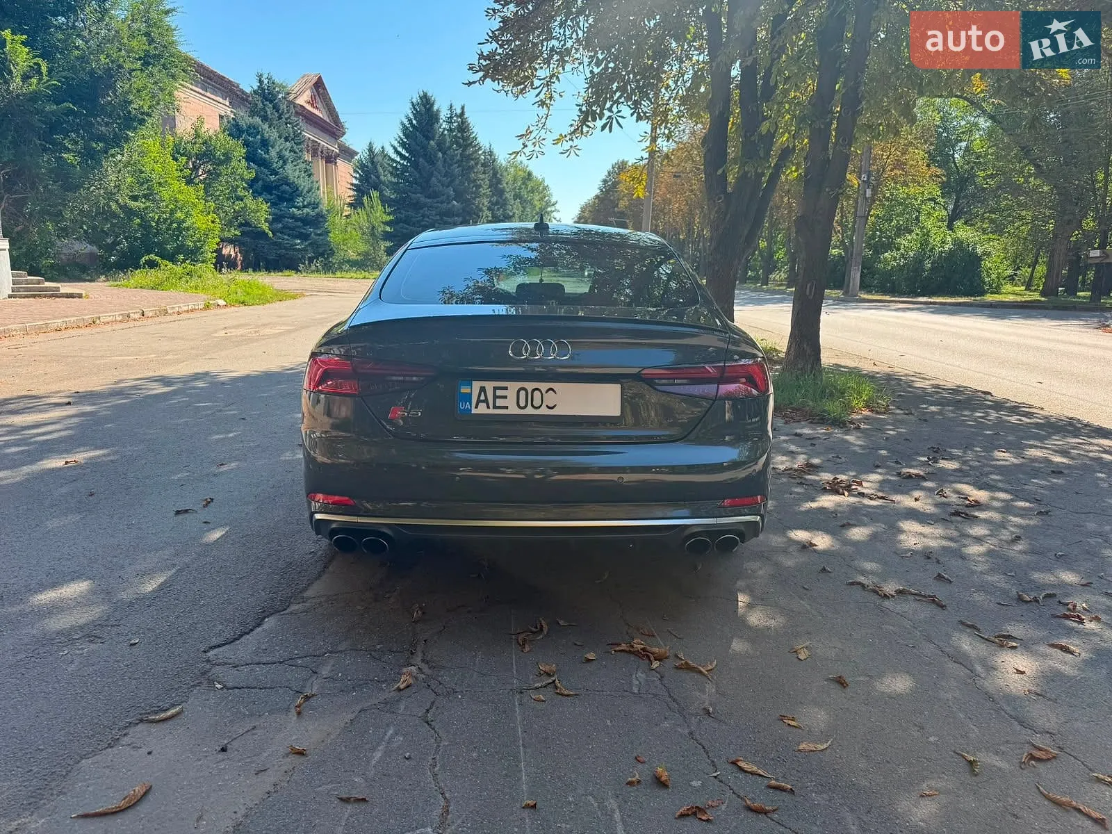 2019 Audi S5 - мініатюра 3