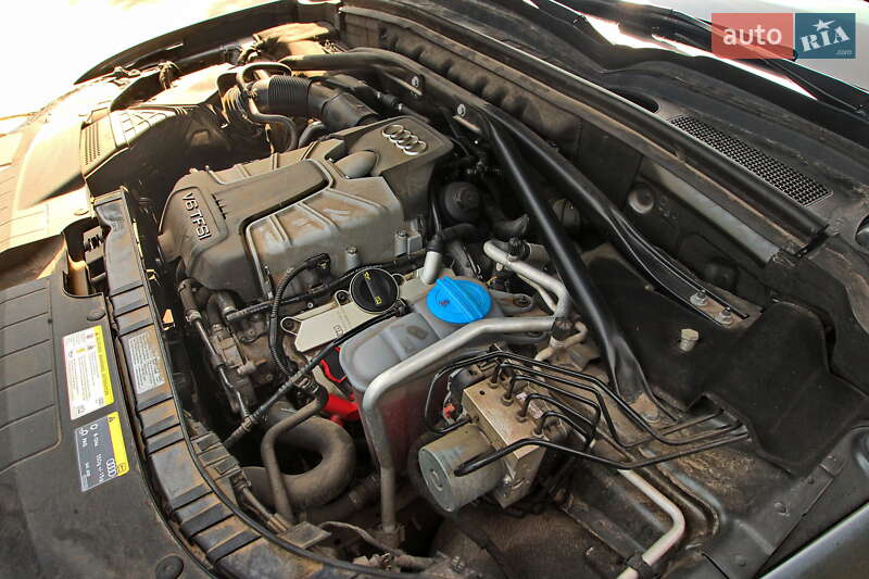 Внедорожник / Кроссовер Audi SQ5 2015 в Чернигове фото 62 Внедорожник / Кроссовер Audi SQ5 2015 в Чернигове