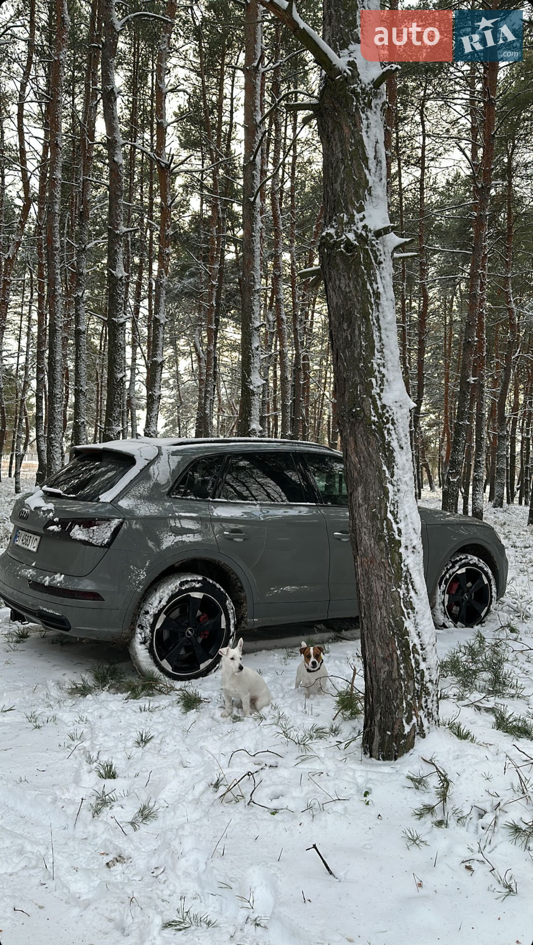 2019 Audi SQ5 - мініатюра 5
