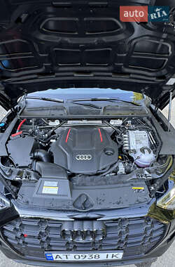 Внедорожник / Кроссовер Audi SQ5 2024 в 
