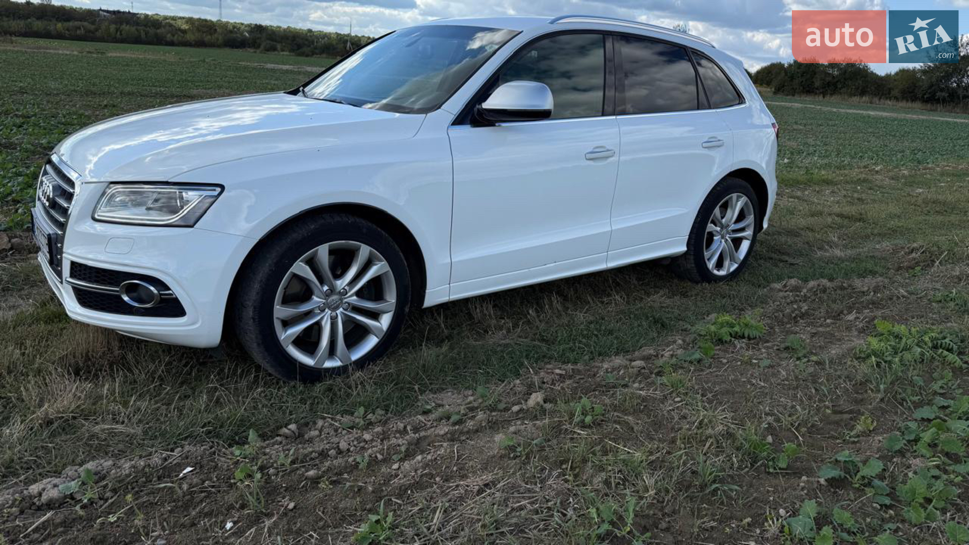 2015 Audi SQ5 - мініатюра 4