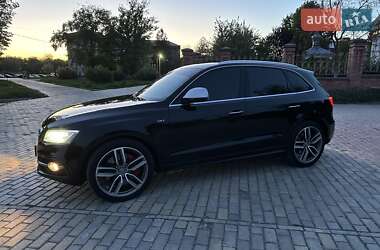 Внедорожник / Кроссовер Audi SQ5 2014 в Белой Церкви