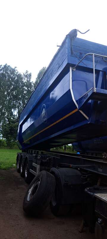 Зерновоз - напівпричіп Bador НП-С 30 2003 в Талалаївці