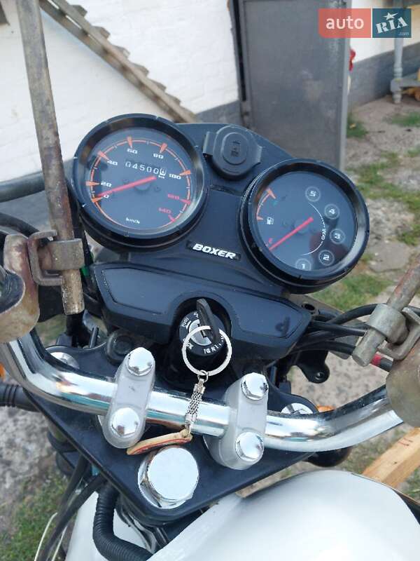 Мотоцикл Багатоцільовий (All-round) Bajaj Boxer 150 2020 в Шполі
