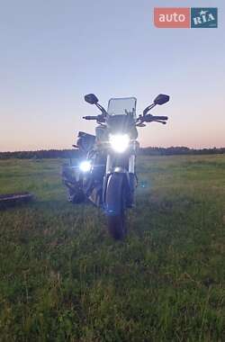 Мотоцикл Без обтекателей (Naked bike) Bajaj Dominar D400 2021 в 