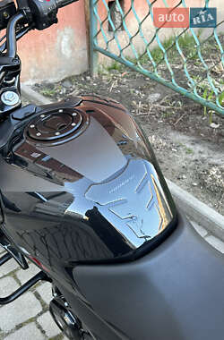 Мотоцикл Без обтекателей (Naked bike) Bajaj Pulsar N250 2024 в 