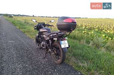 Мотоцикл Багатоцільовий (All-round) Bajaj Pulsar 2020 в 