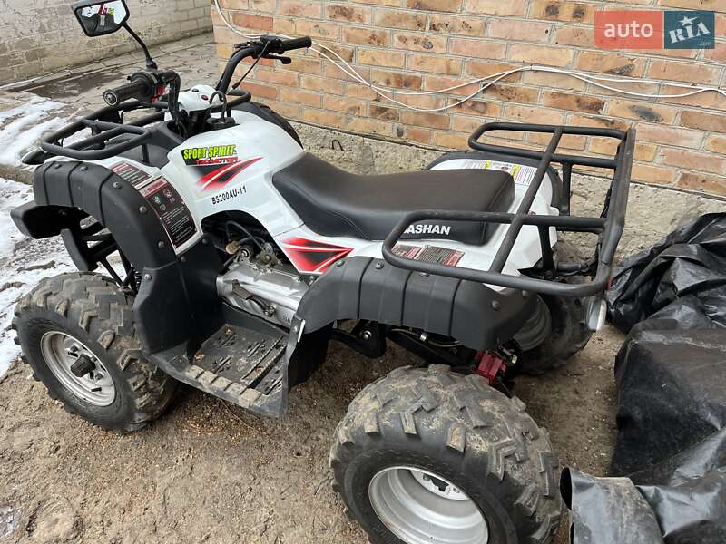 Квадроцикл  утилитарный Bashan BS200 2020 в 
