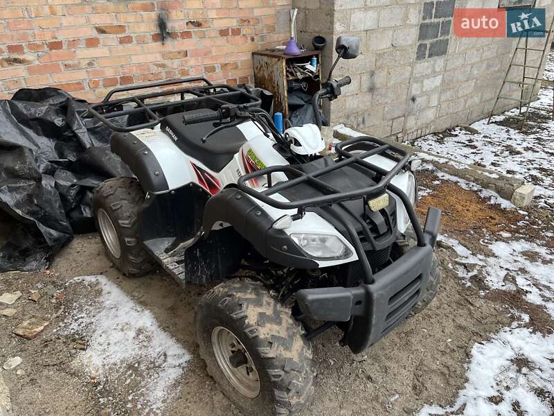 Квадроцикл утилітарний Bashan BS200 2020 в Краматорську