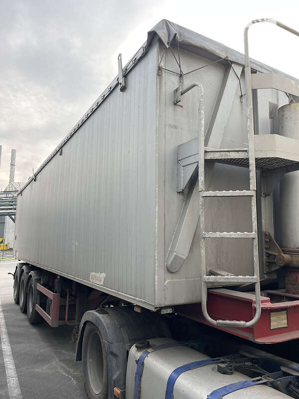 Benalu Optiliner 2008