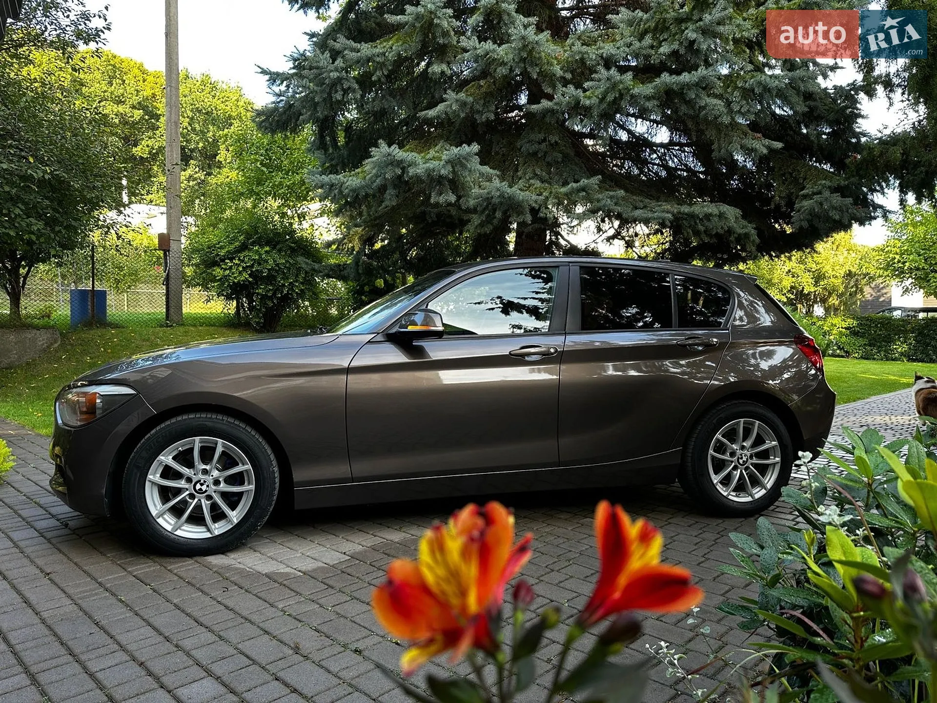 2014 BMW 1er - мініатюра 4