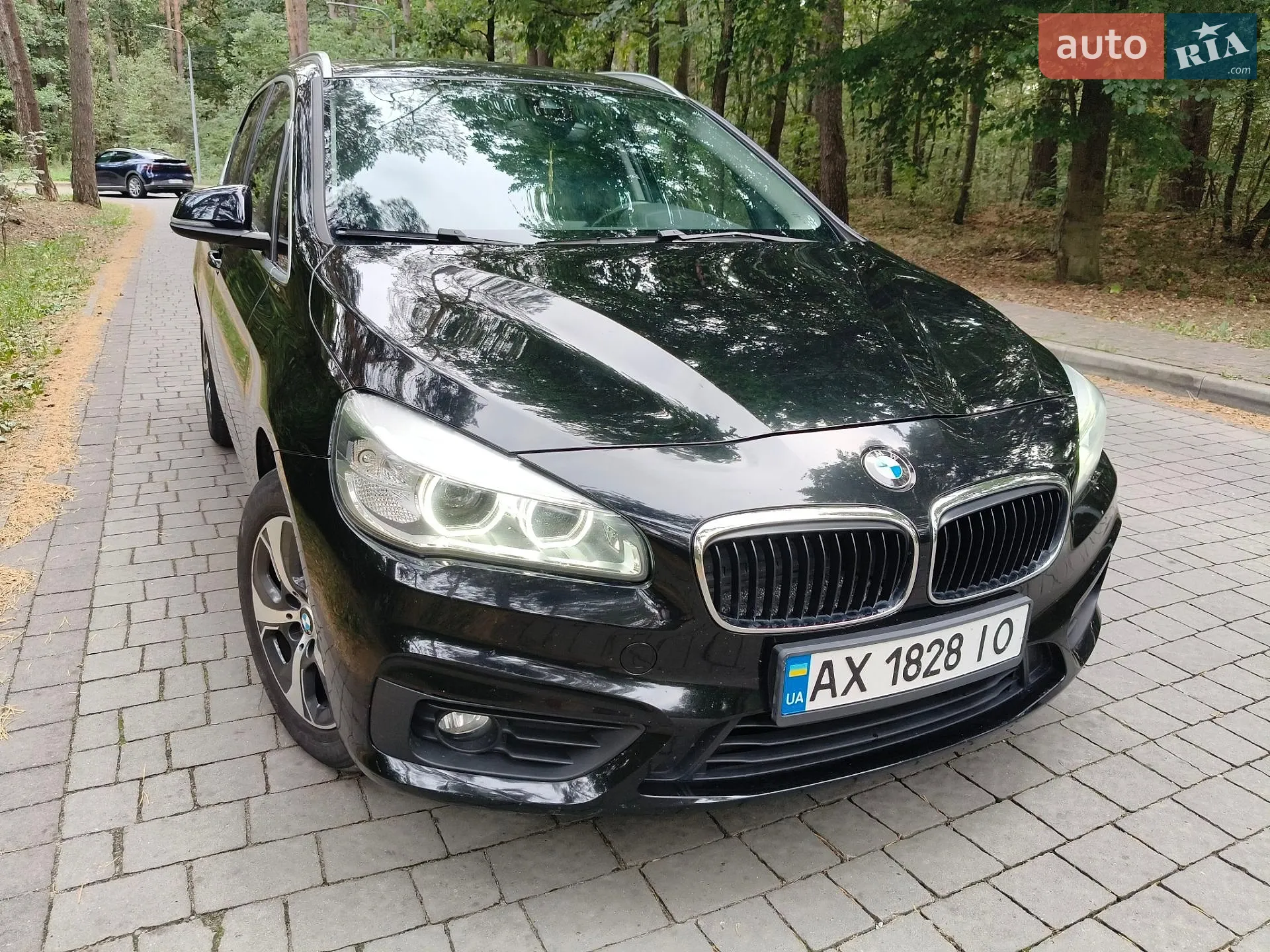 2016 BMW 2er - мініатюра 12