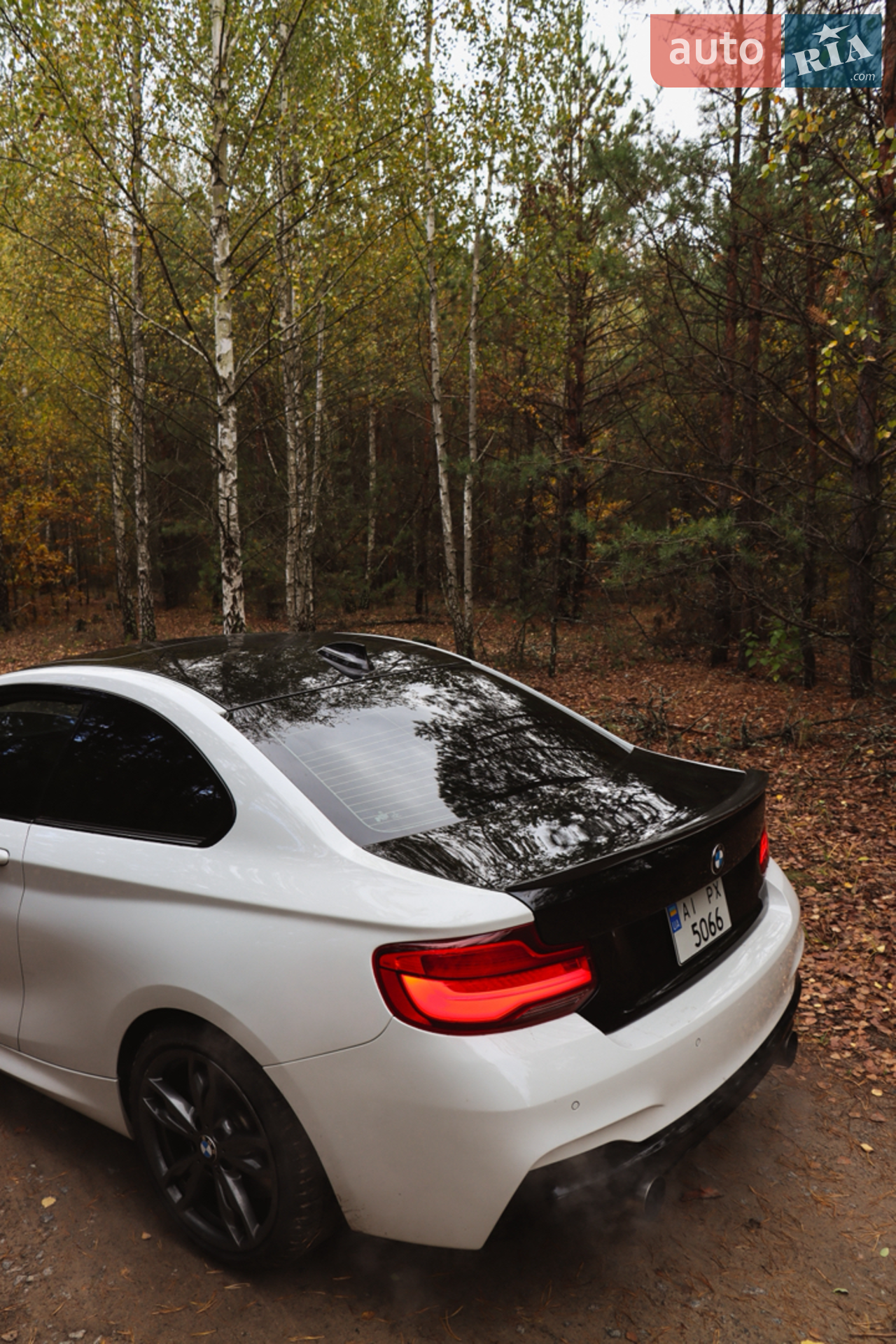 2017 BMW 2er - мініатюра 9
