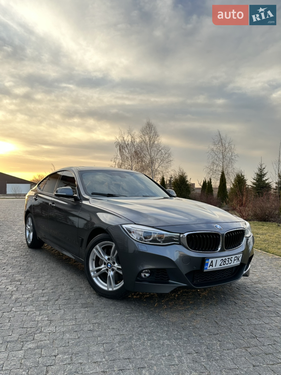 2015 BMW 3er - мініатюра 49