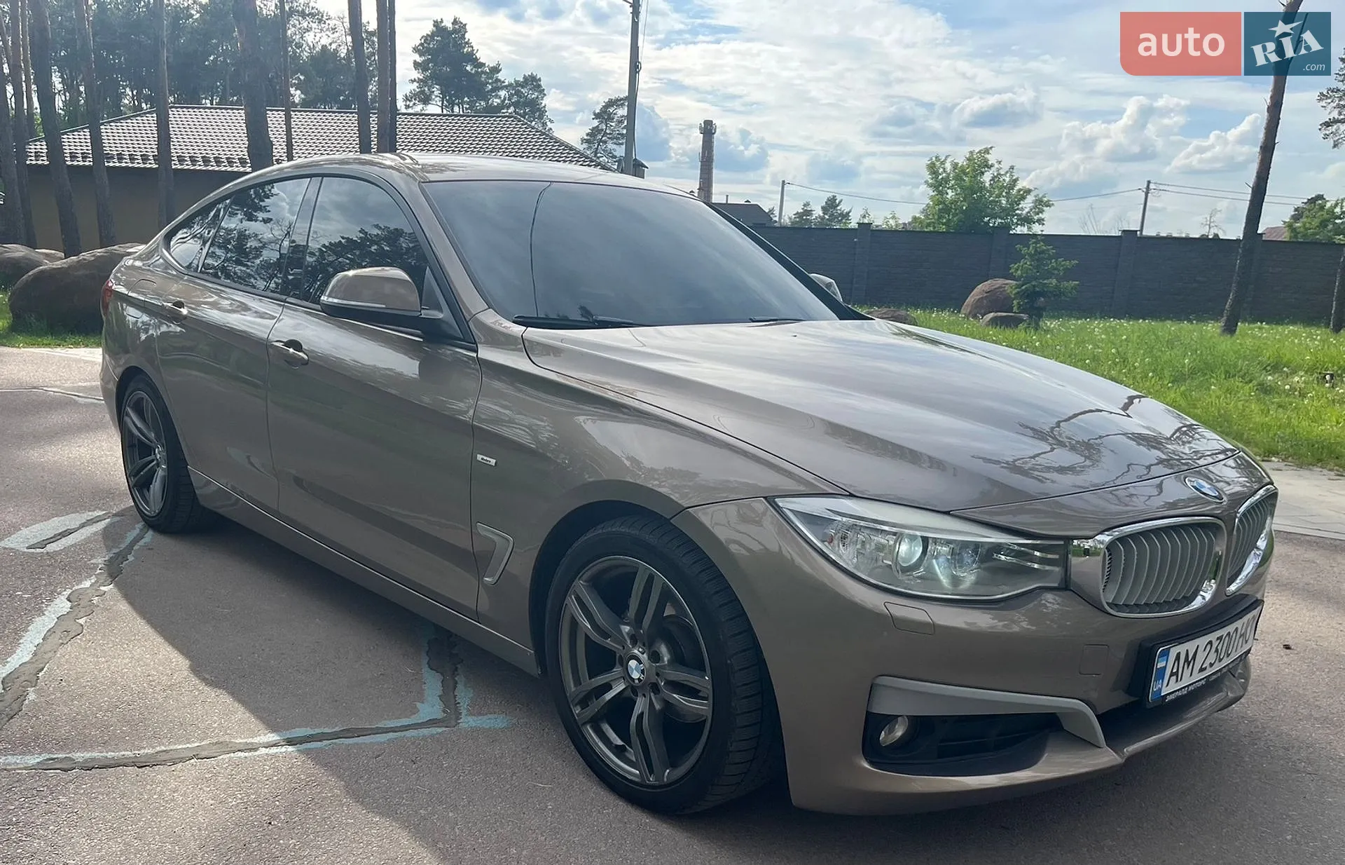 2013 BMW 3er - мініатюра 3