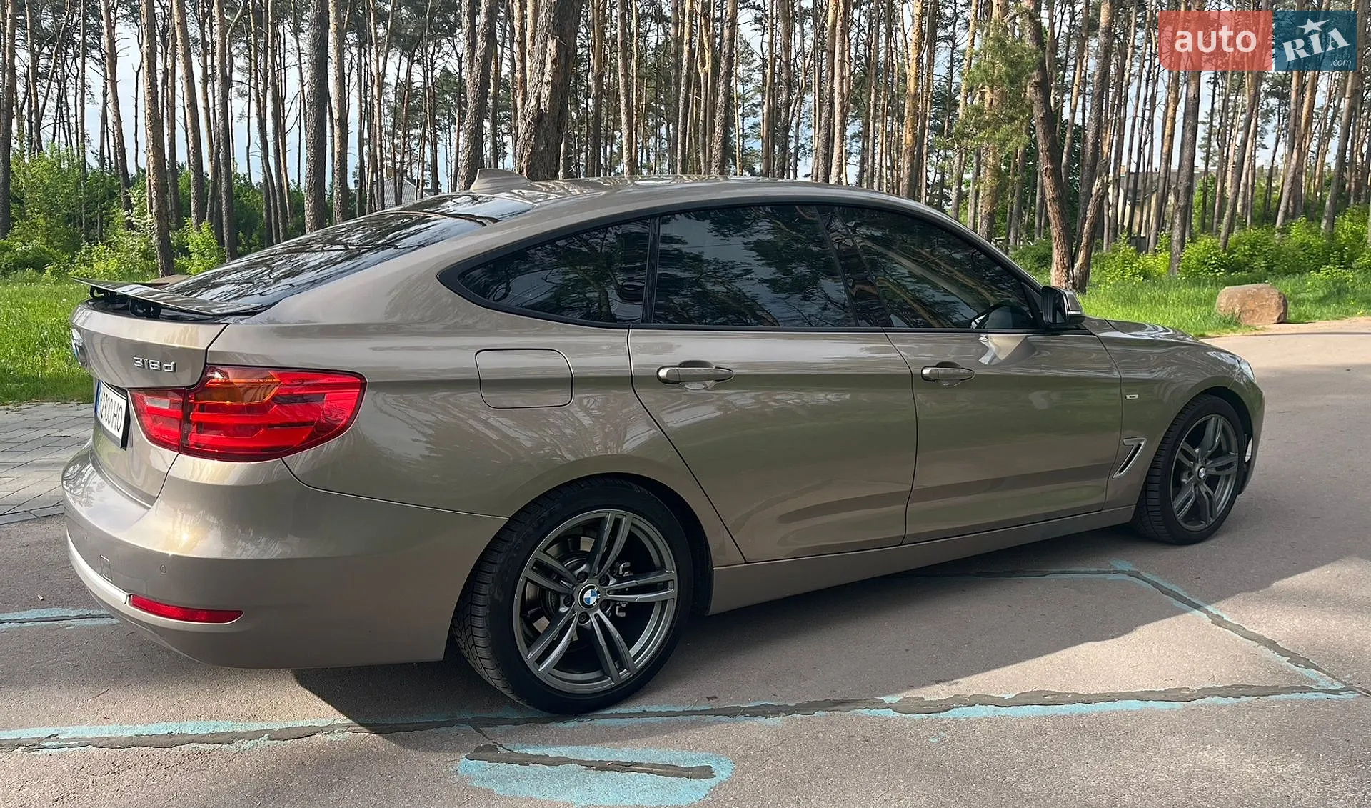 2013 BMW 3er - мініатюра 5