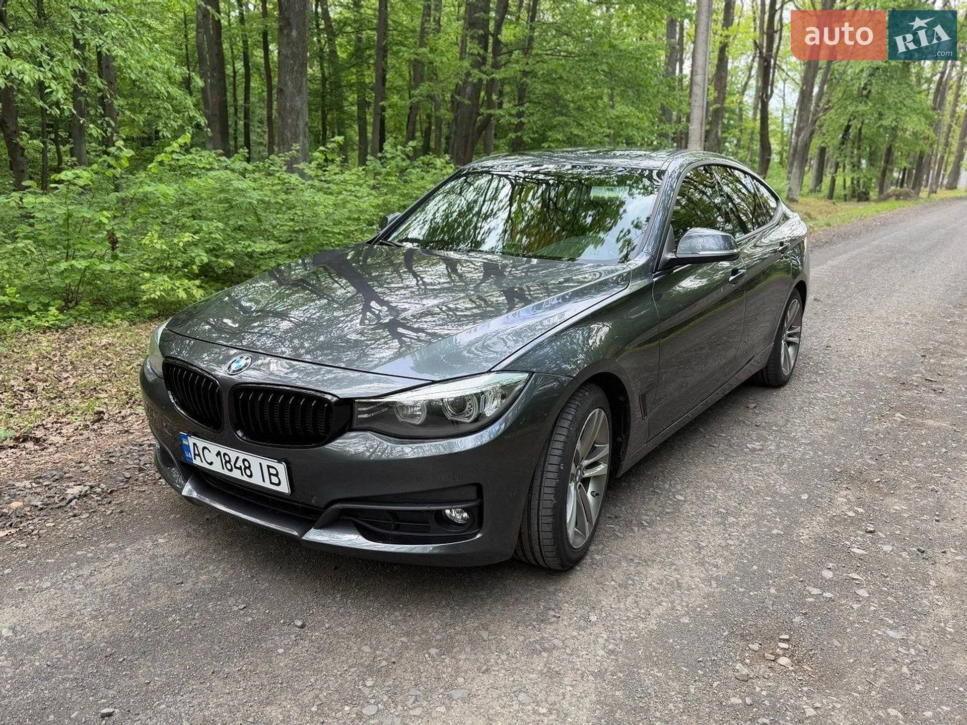 2016 BMW 3er - мініатюра 3