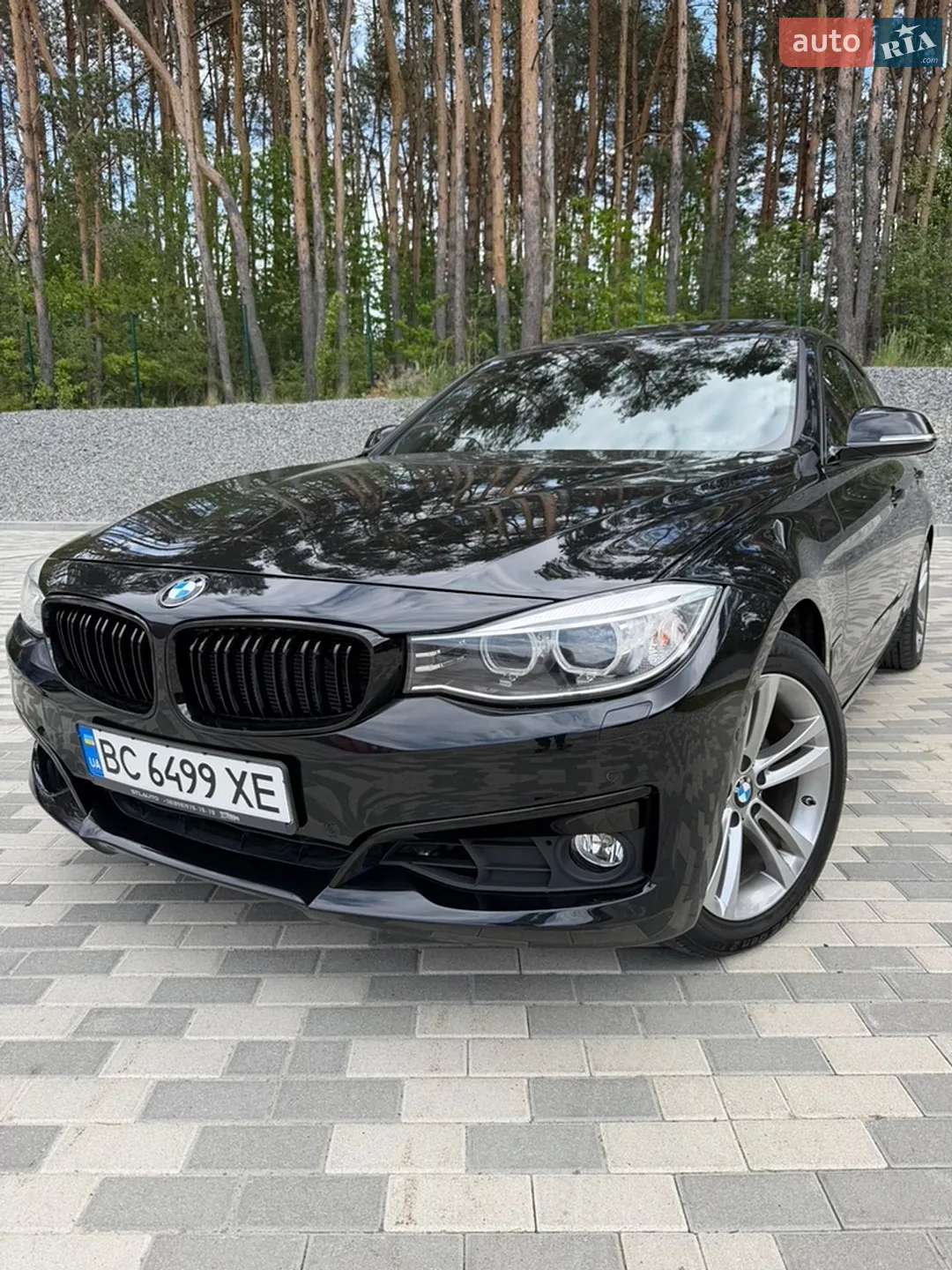 2015 BMW 3er - мініатюра 7