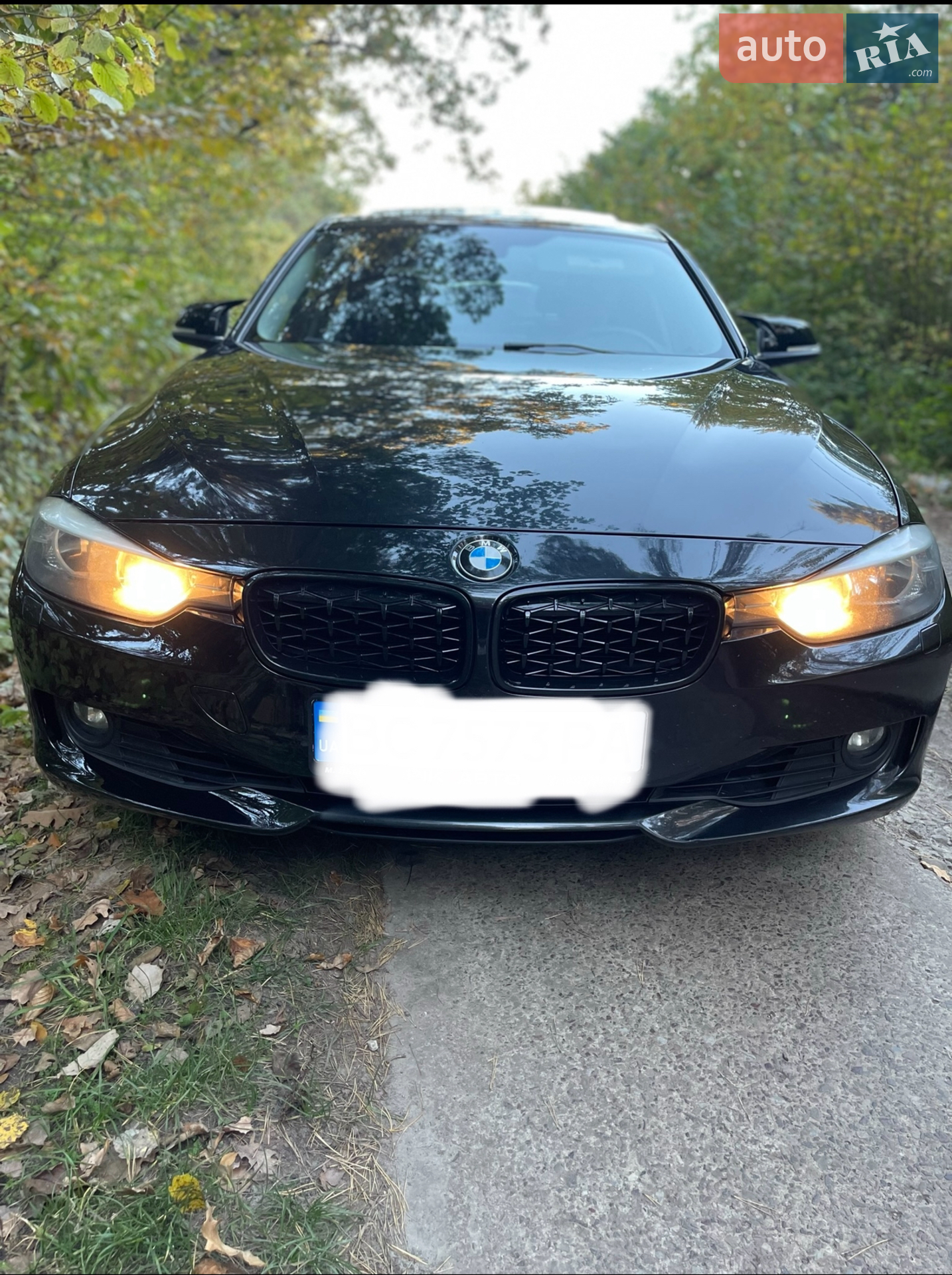 2014 BMW 3er - мініатюра 5