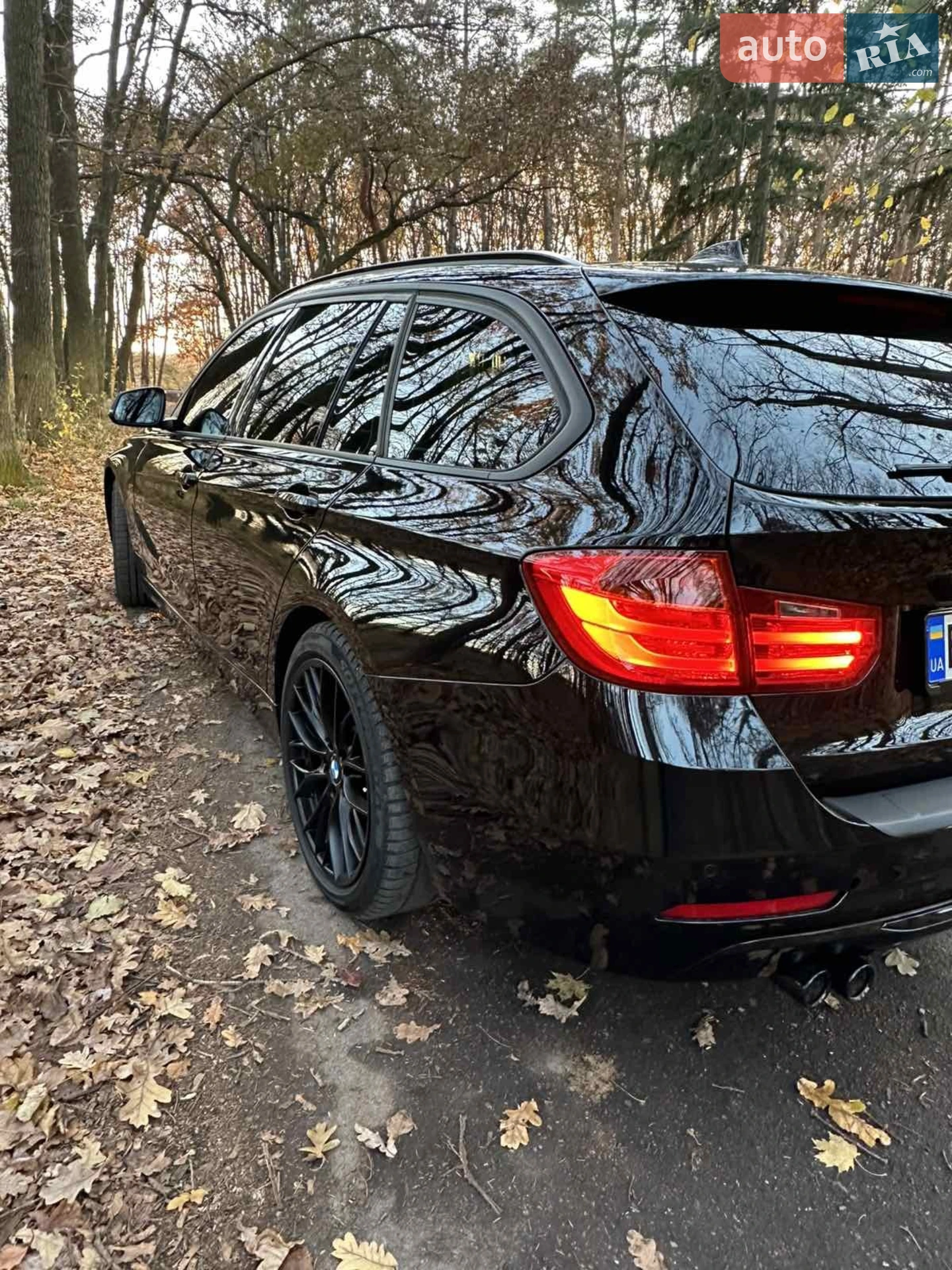 2013 BMW 3er - мініатюра 5