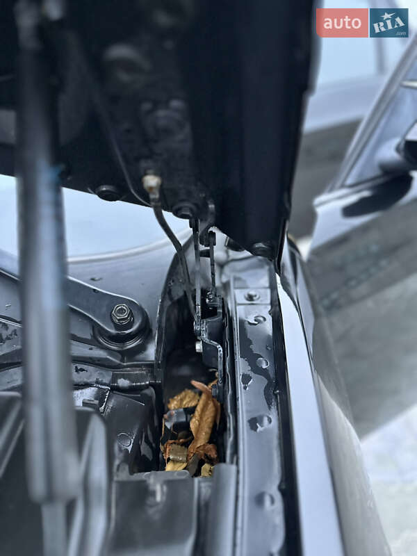 Универсал BMW 3 Series 2005 в Тернополе фото 31 Универсал BMW 3 Series 2005 в Тернополе