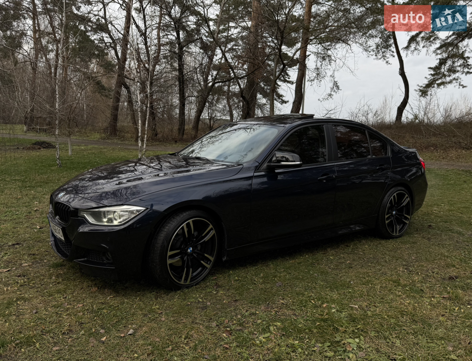 2014 BMW 3er - мініатюра 7