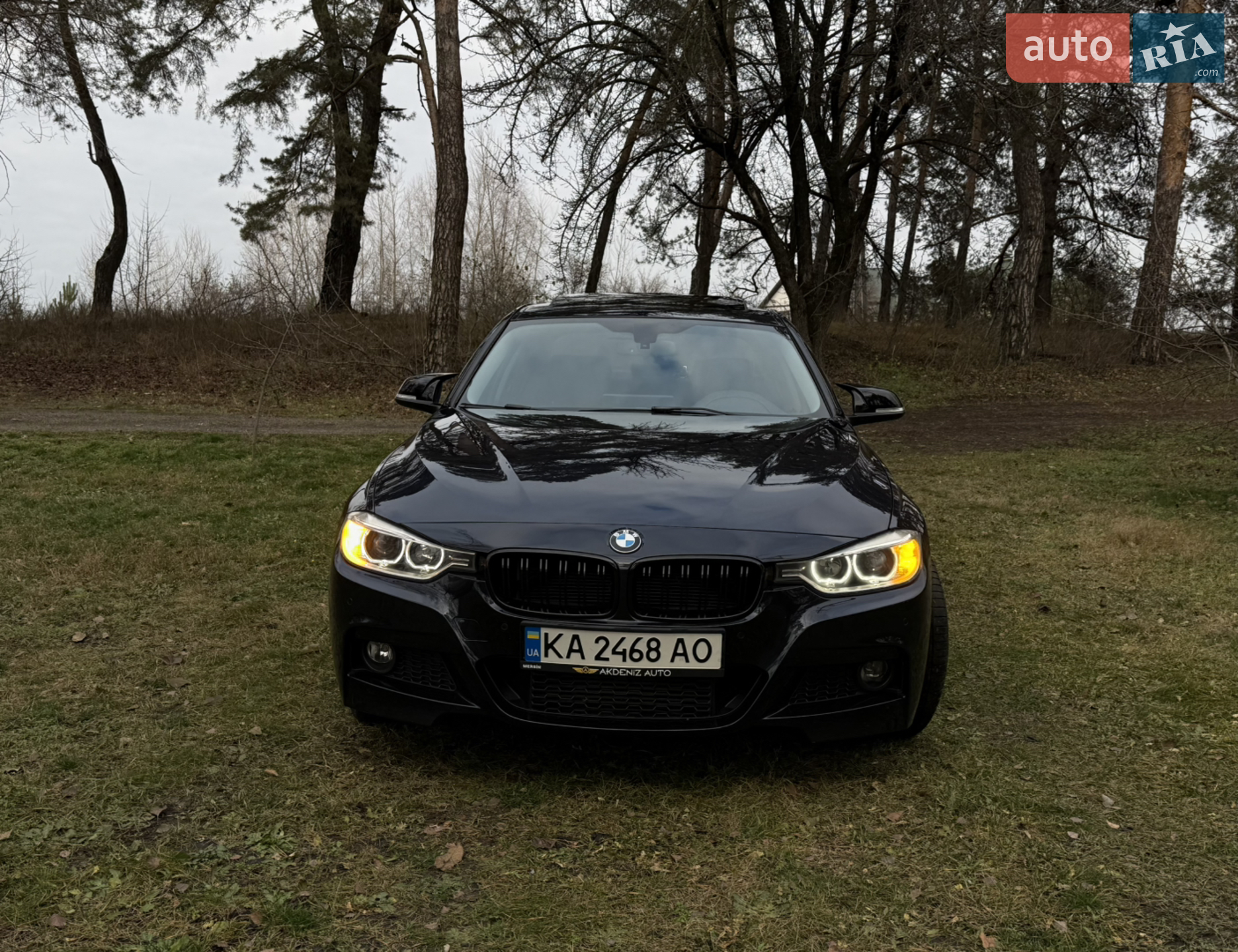 2014 BMW 3er - мініатюра 8