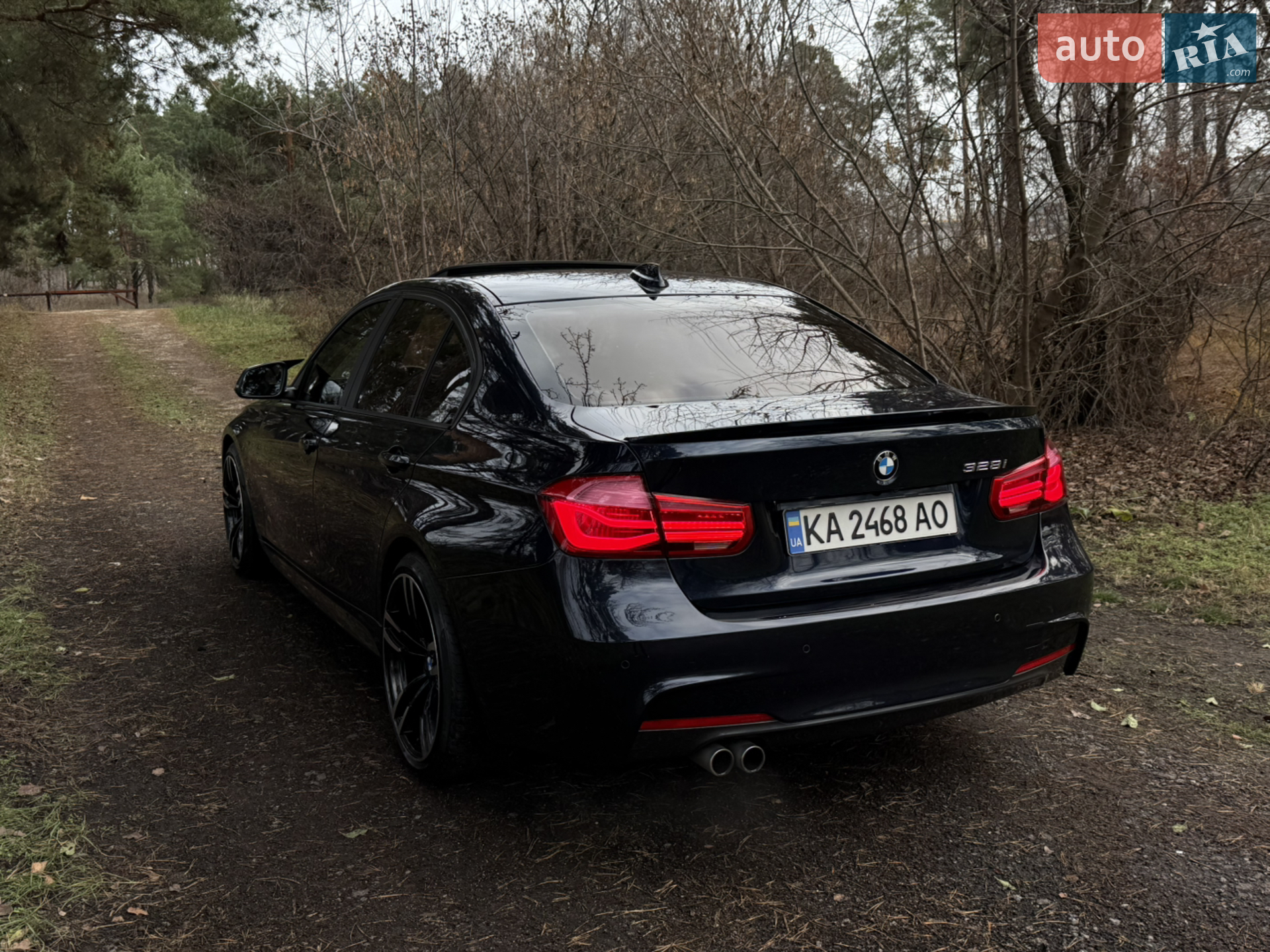 2014 BMW 3er - мініатюра 29