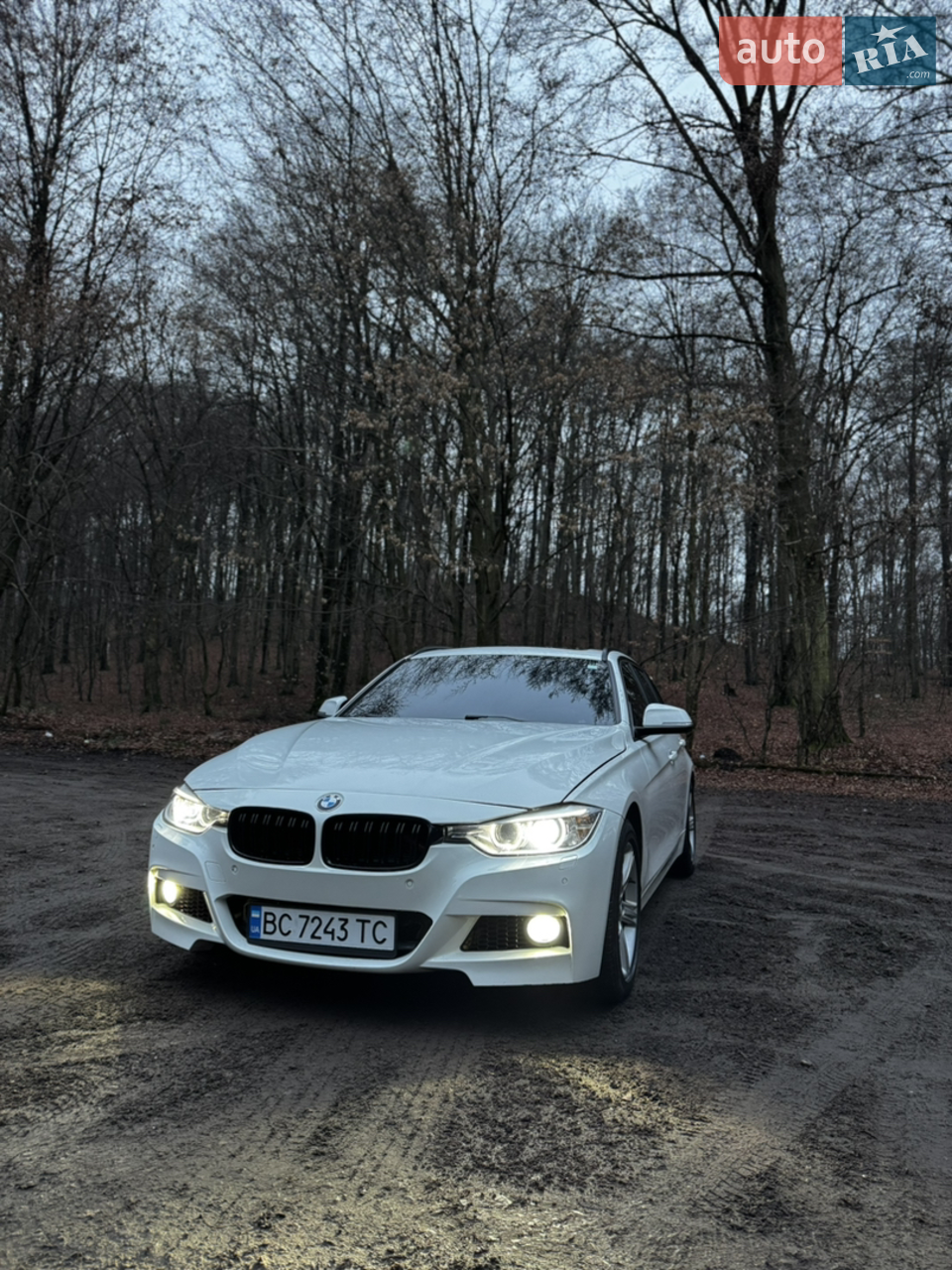2014 BMW 3er - мініатюра 36