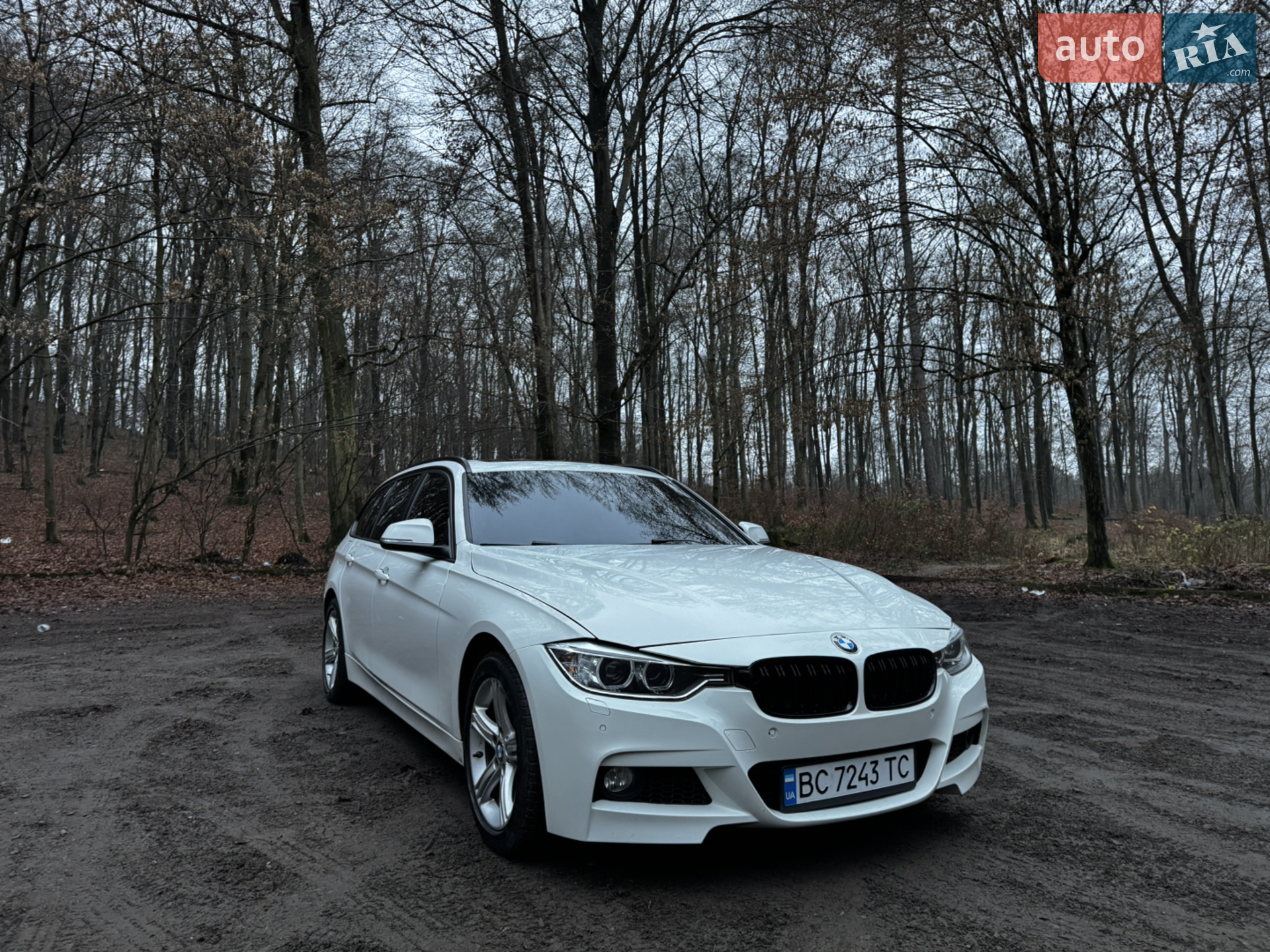 2014 BMW 3er - мініатюра 32