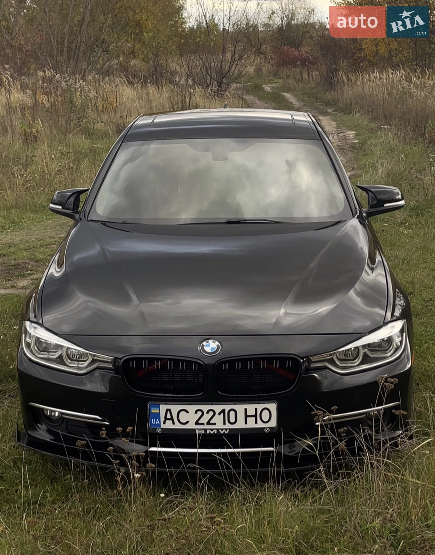 2013 BMW 3er - мініатюра 3