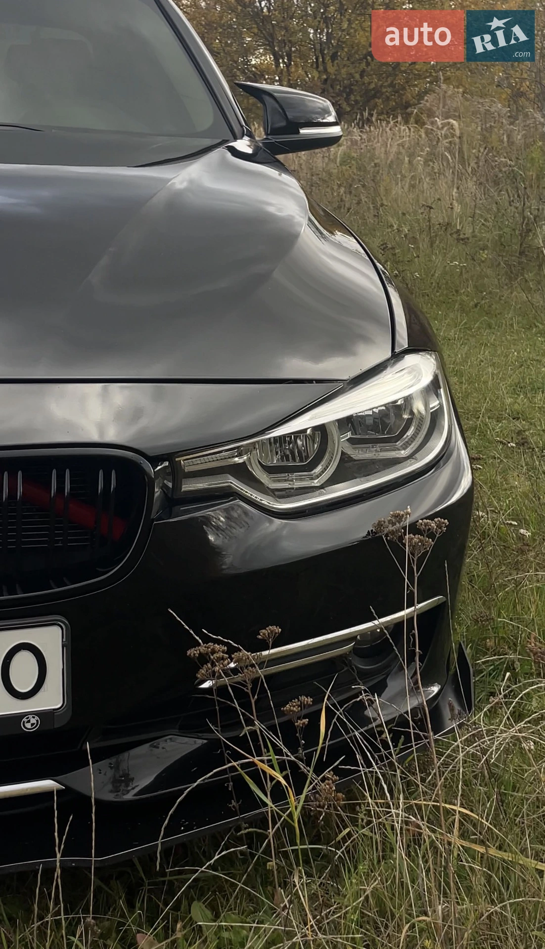 2013 BMW 3er - мініатюра 2
