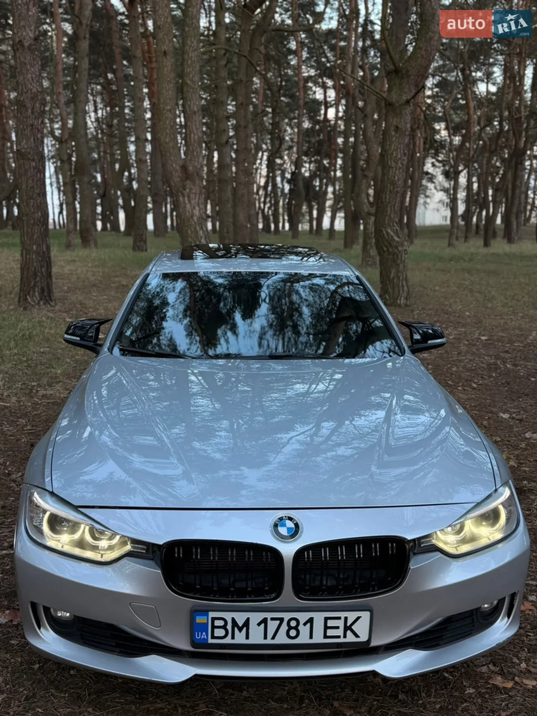 2013 BMW 3er - мініатюра 2