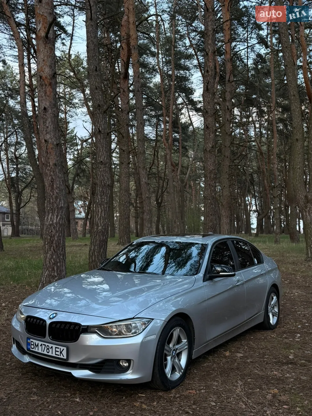 2013 BMW 3er - мініатюра 6