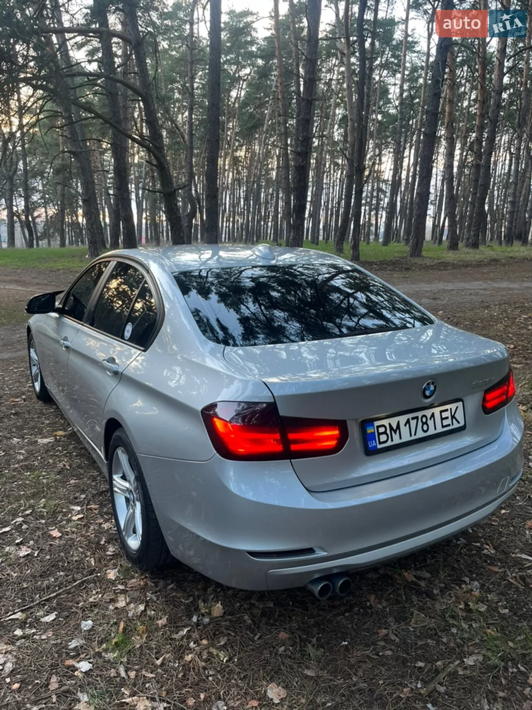2013 BMW 3er - мініатюра 32