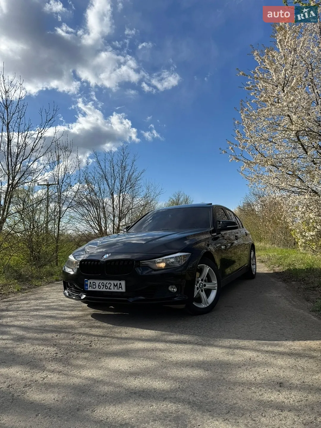 2013 BMW 3er - мініатюра 3