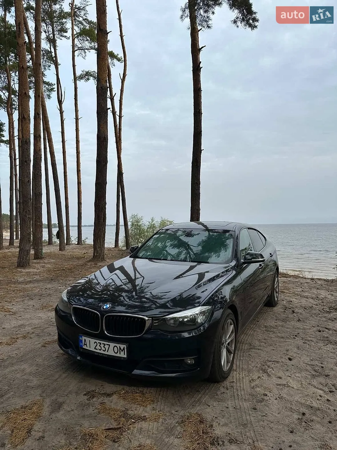 2014 BMW 3er - мініатюра 5