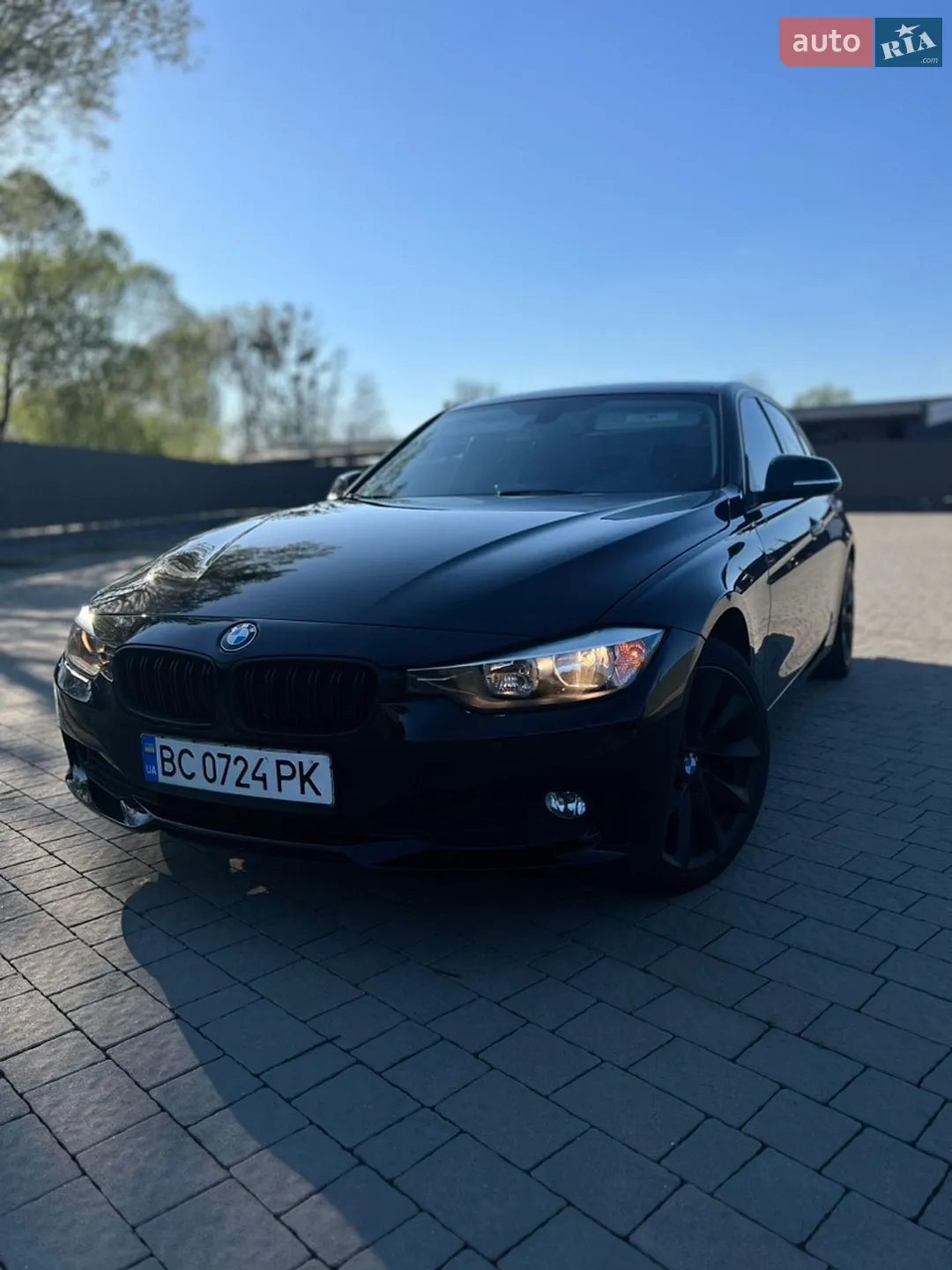 2013 BMW 3er - мініатюра 3