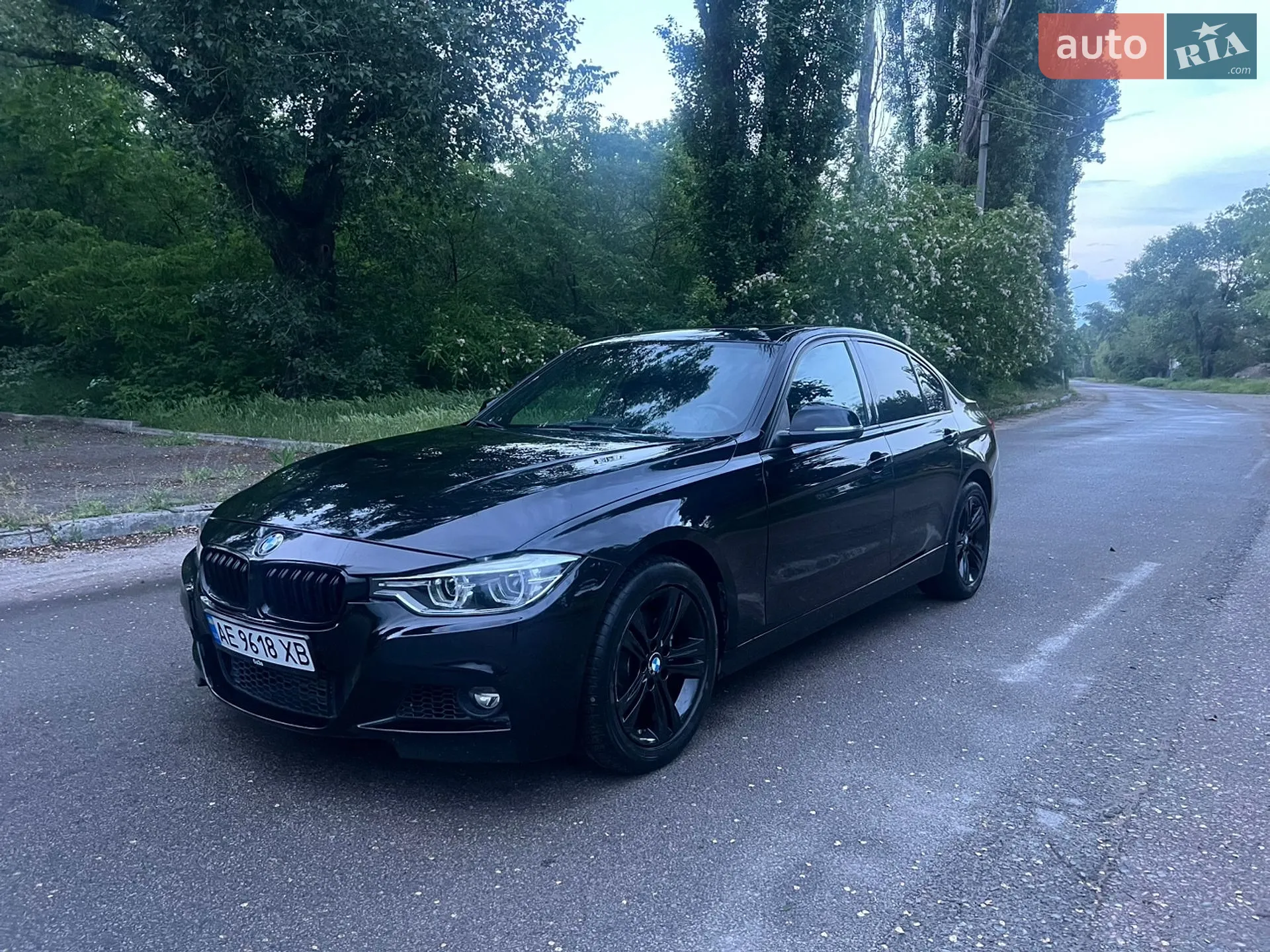 2015 BMW 3er - мініатюра 24