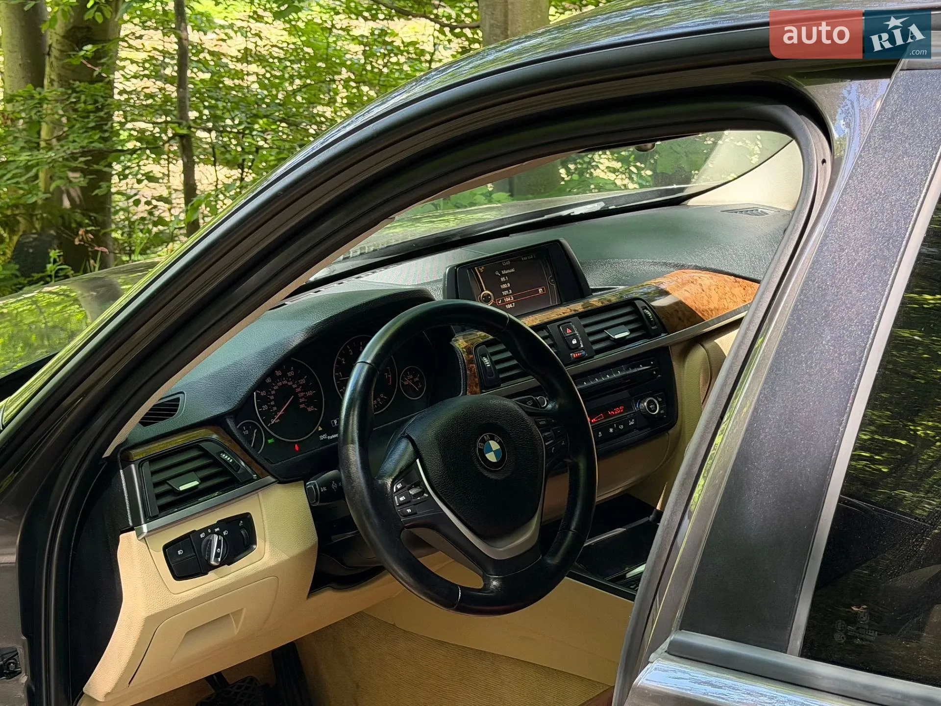 2013 BMW 3er - мініатюра 6