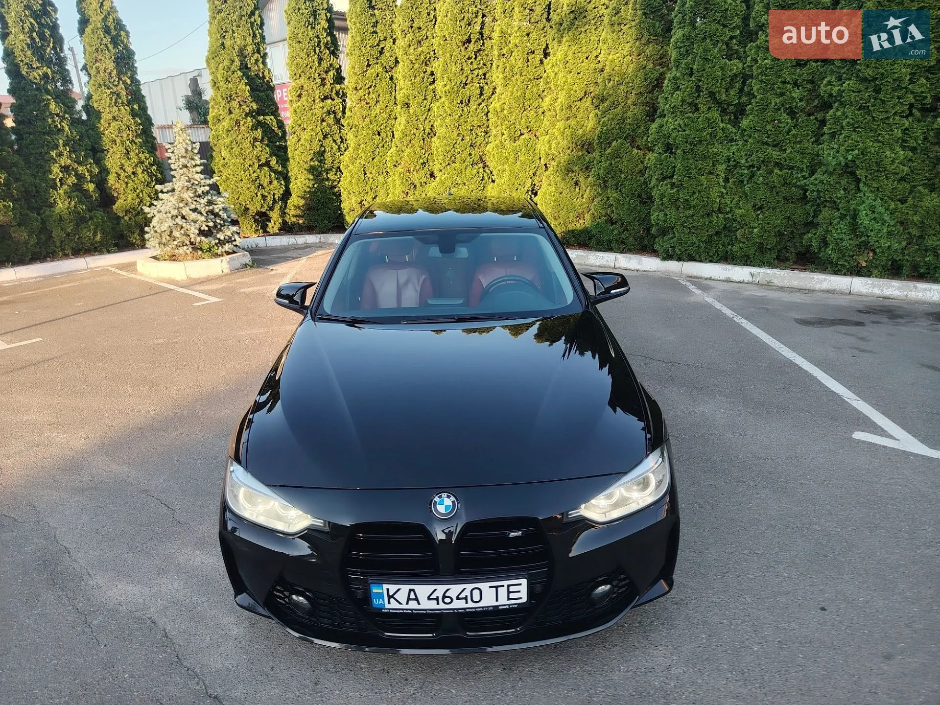 2013 BMW 3er - мініатюра 5