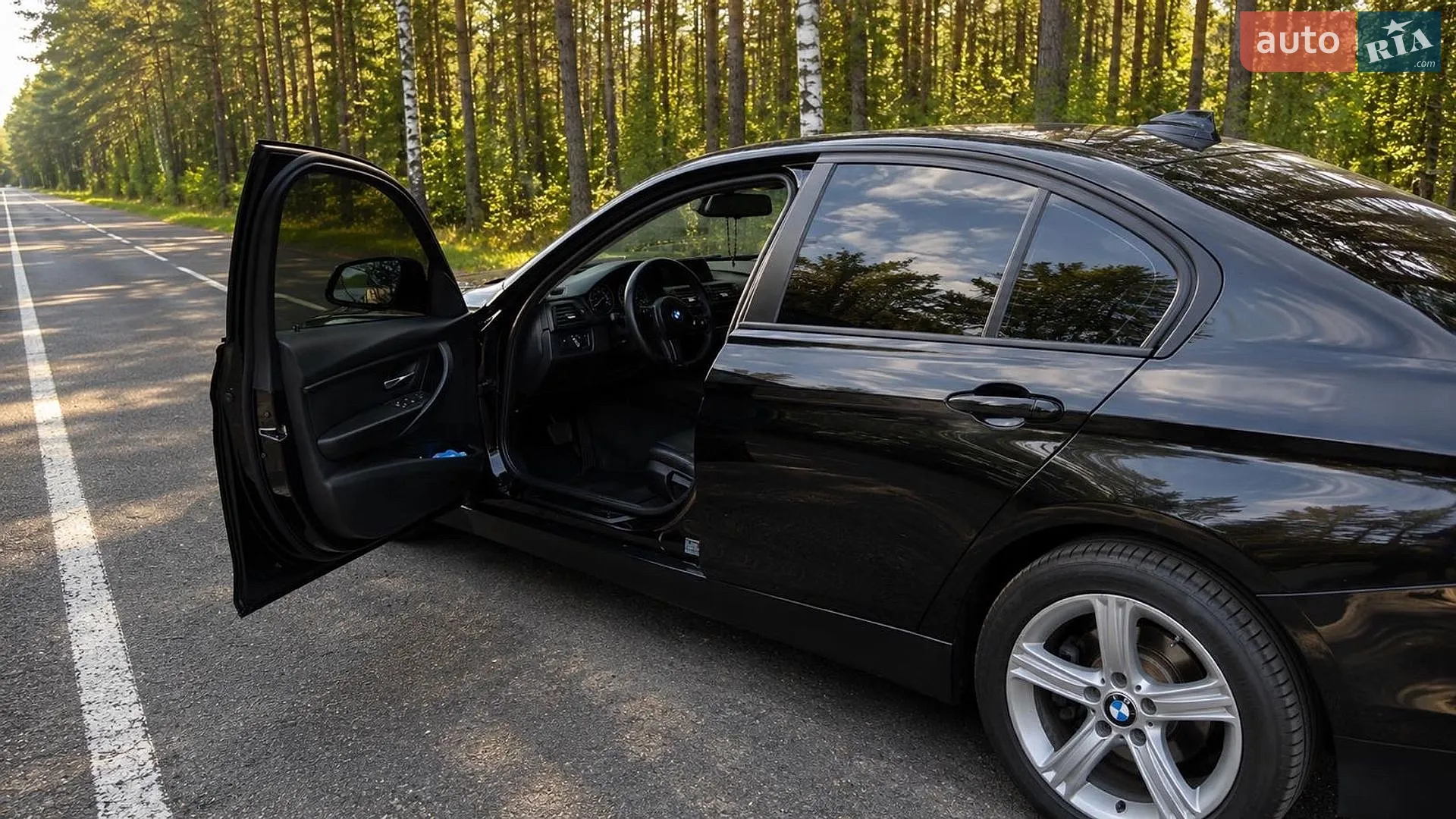 2013 BMW 3er - мініатюра 10