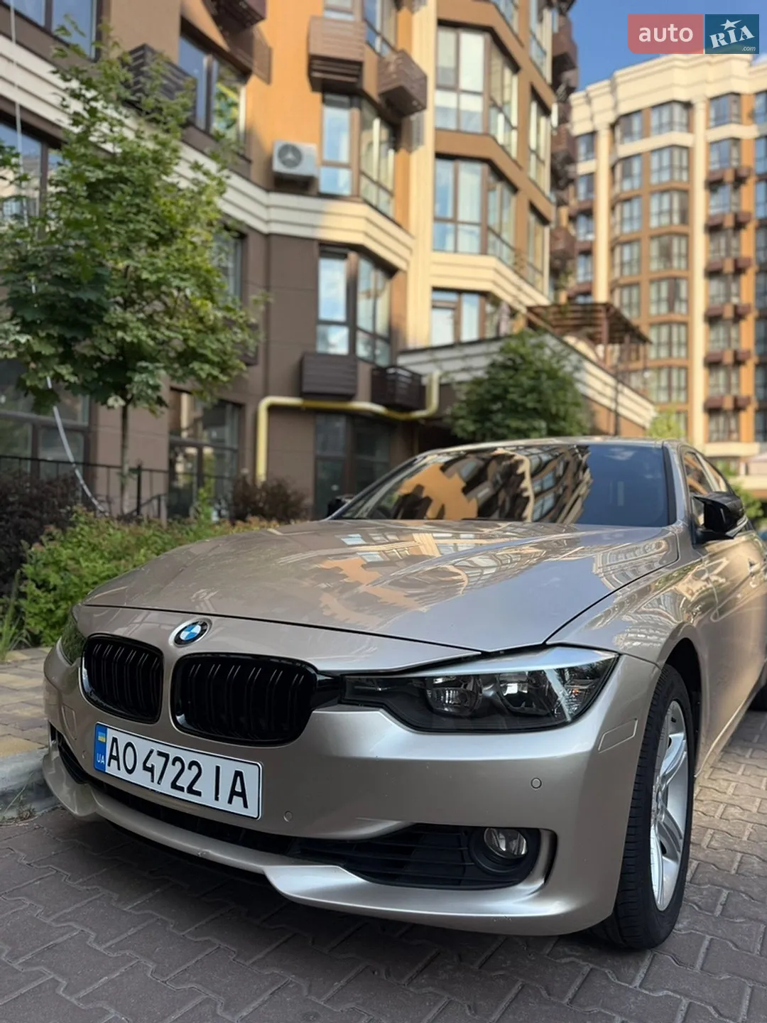 2013 BMW 3er - мініатюра 2