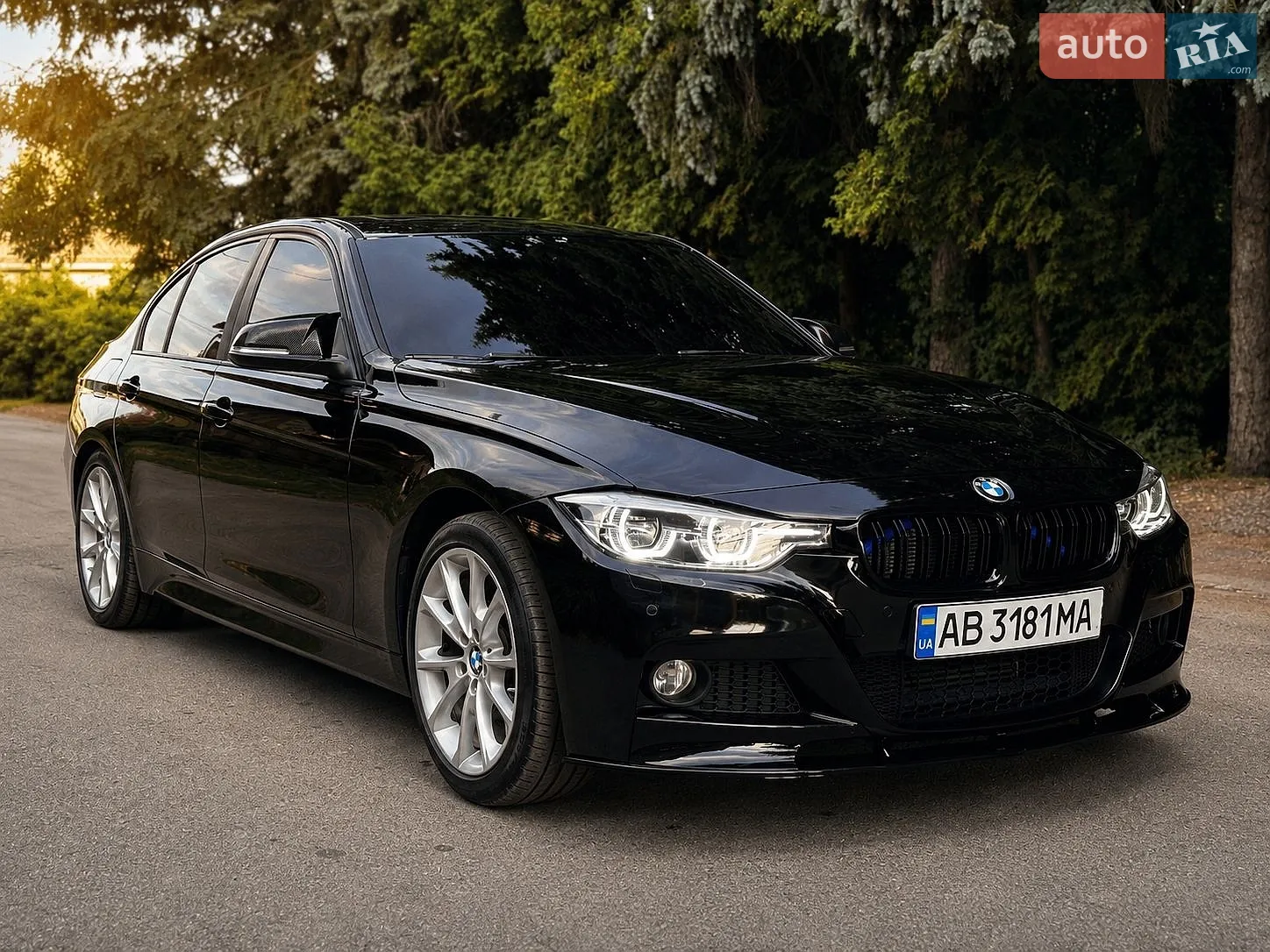 2015 BMW 3er - мініатюра 2