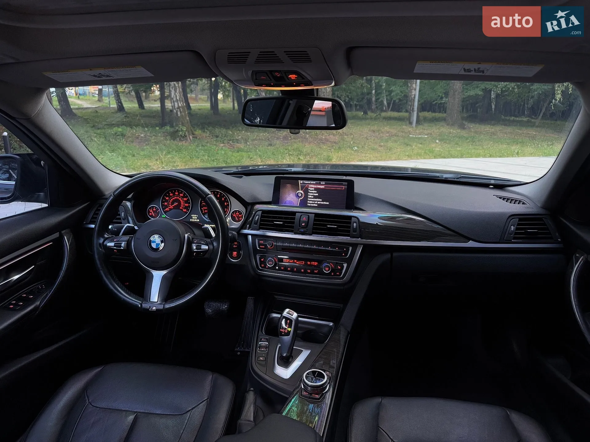 2013 BMW 3er - мініатюра 99