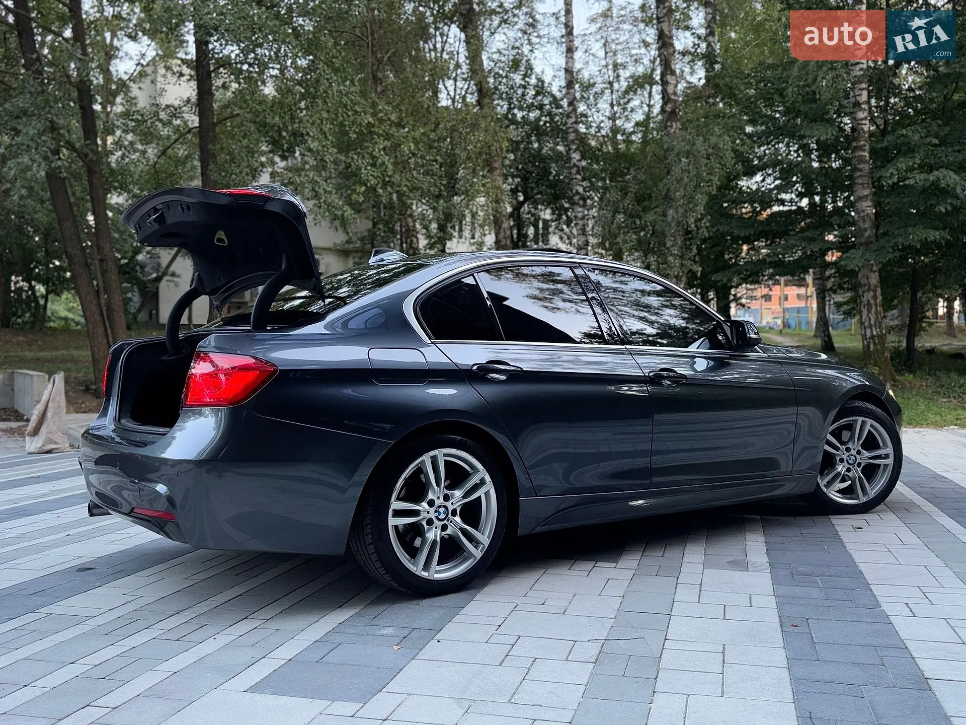 2013 BMW 3er - мініатюра 101