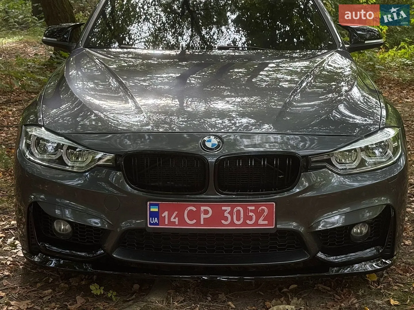 2013 BMW 3er - мініатюра 2