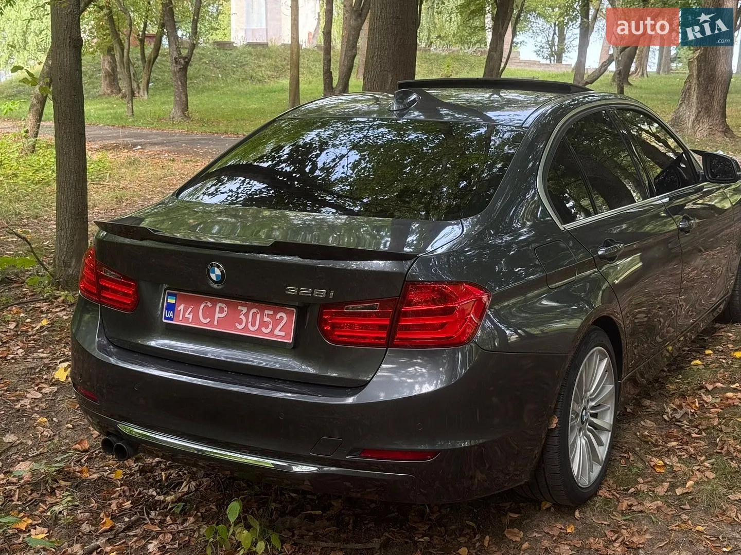 2013 BMW 3er - мініатюра 10