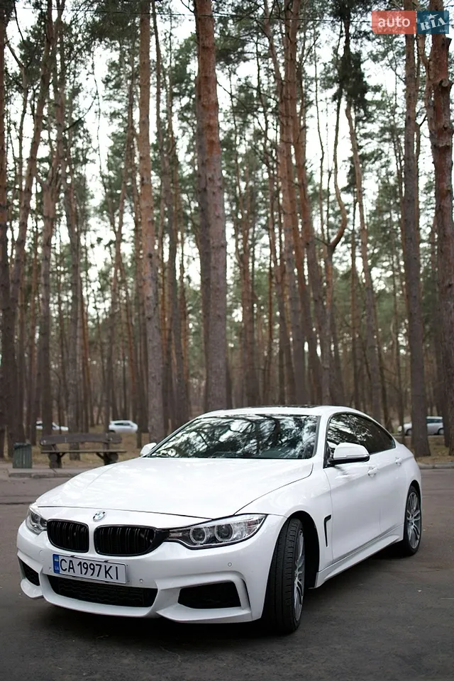 2014 BMW 4er - мініатюра 18